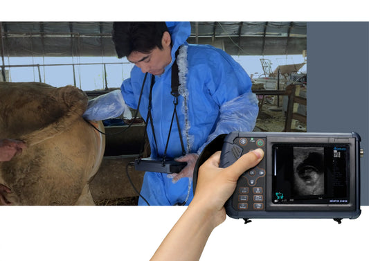 Dawei S1 Ultrasound Machine