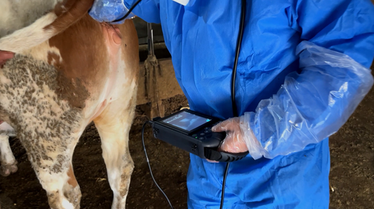 Cattle Ultrasound Machine S1 OB Measurement Guidance