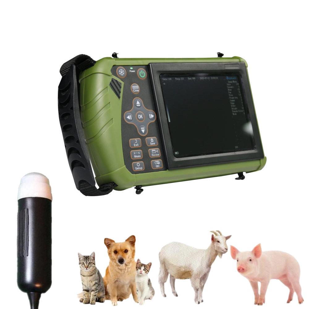 Portable Ultrasound For Medium Animals| S0