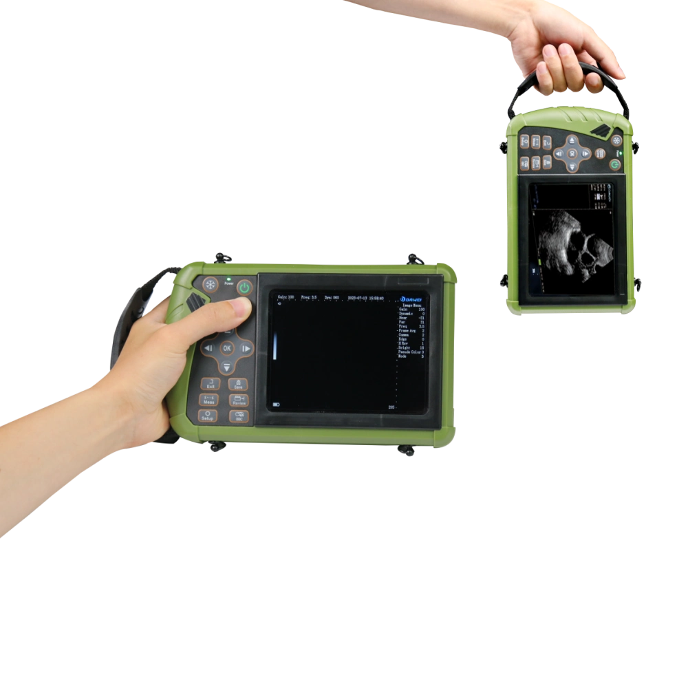 Portable Ultrasound For Medium Animals| S0