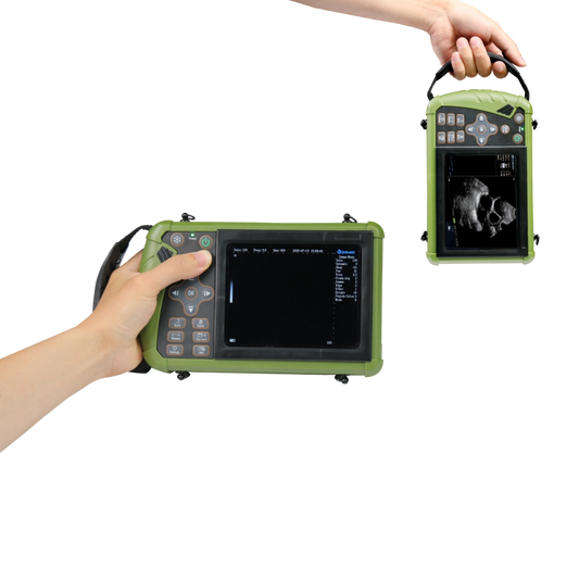 Portable Ultrasound For Medium Animals