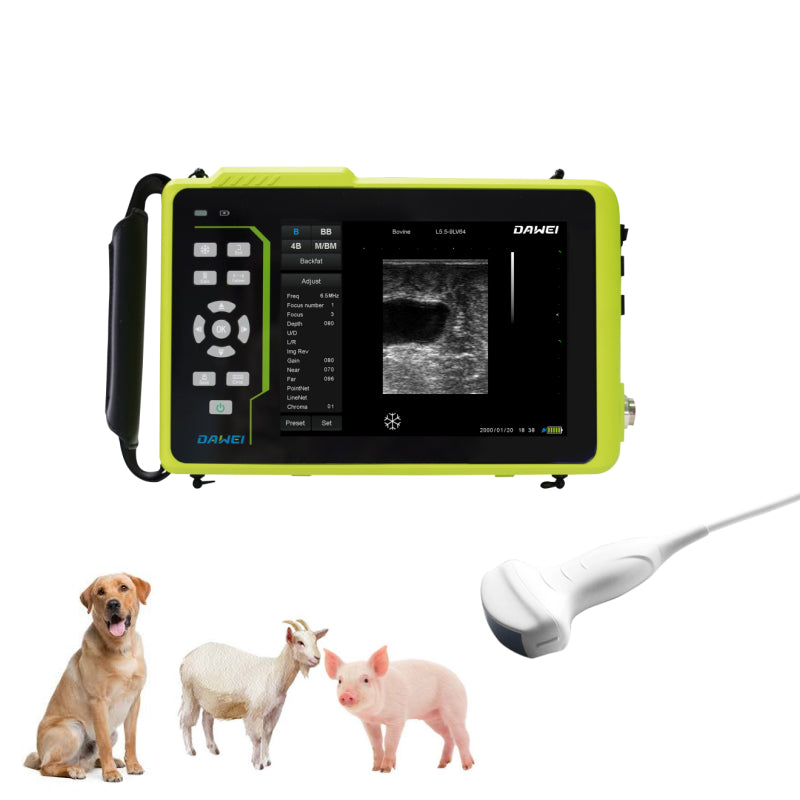 vet ultrasound machine for large dog,goat,pig