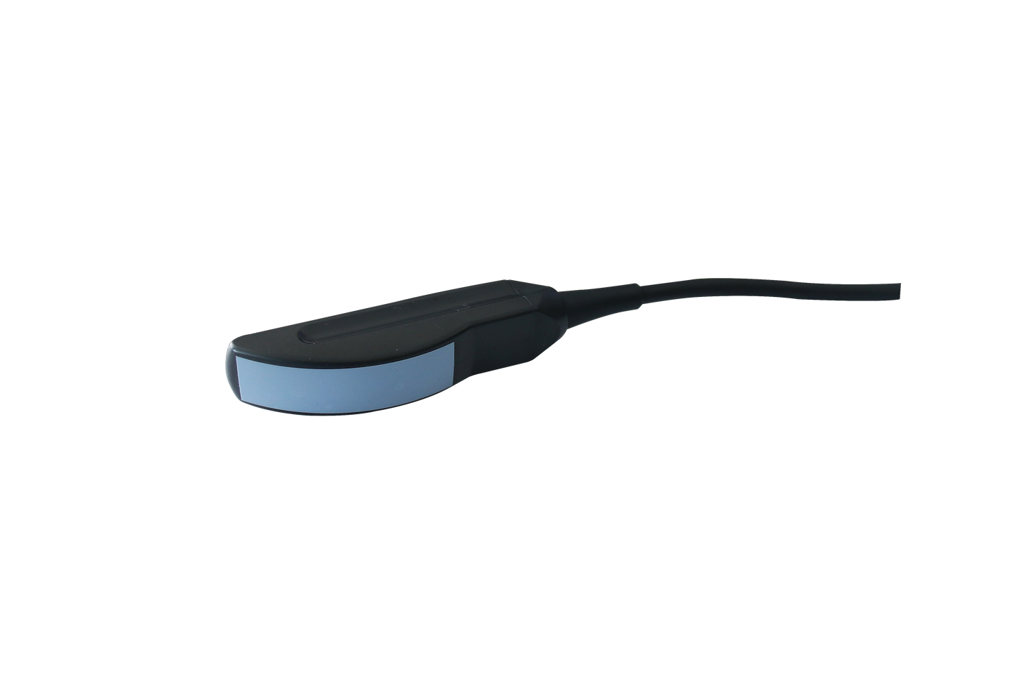 cattle convex rectal probe