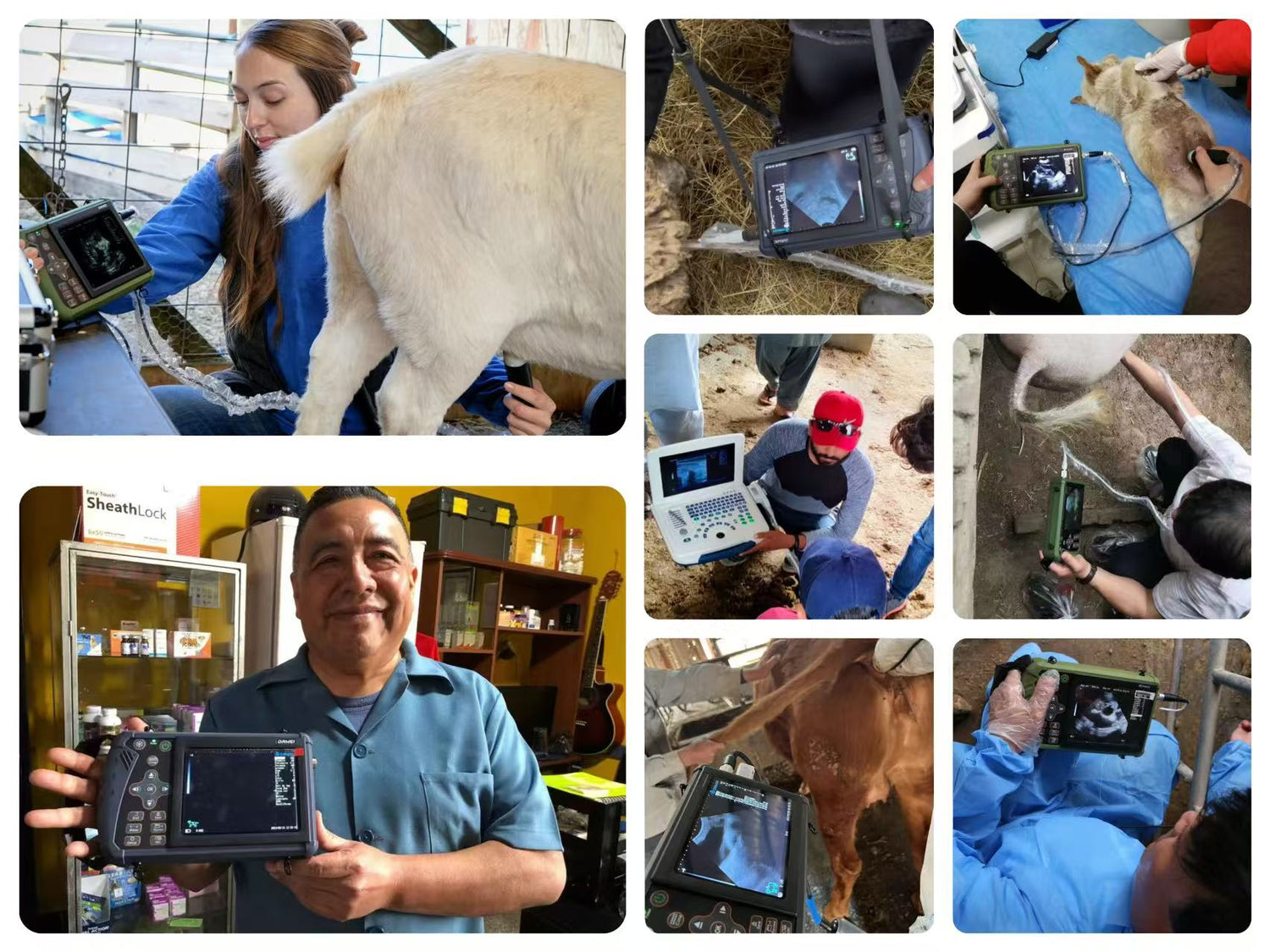 dawei S1 veterinary ultrasound machine