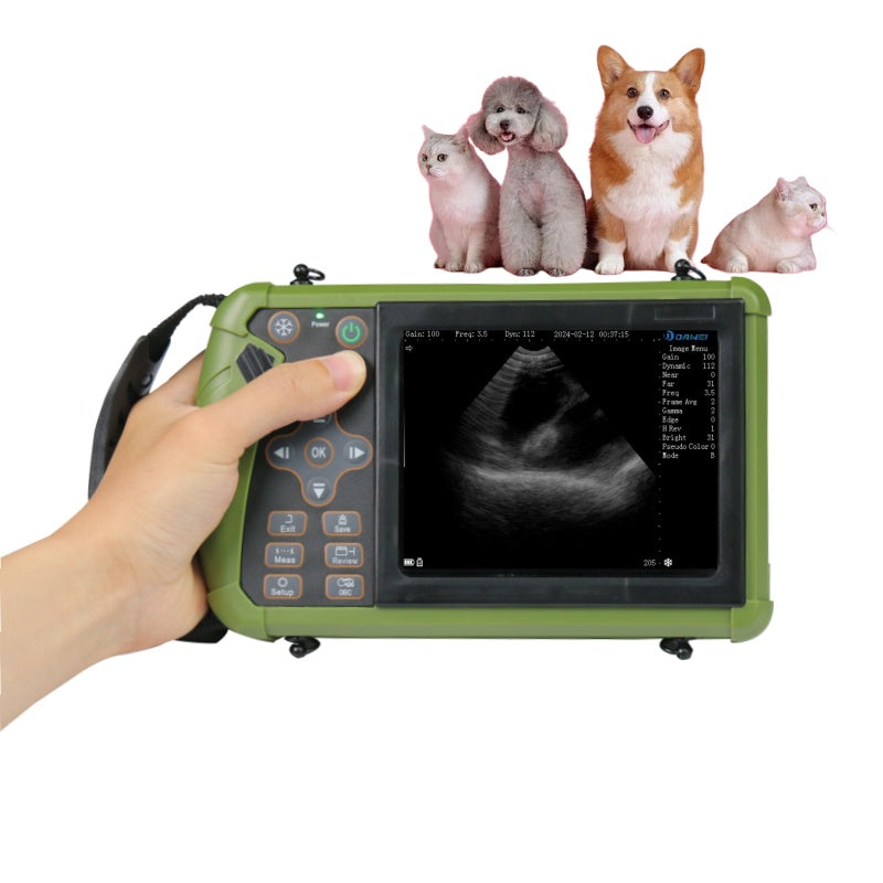 dog ultrasound machine at home