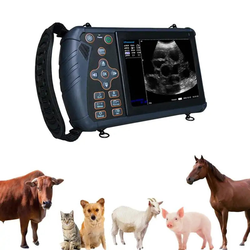 dog ultrasound machine at home