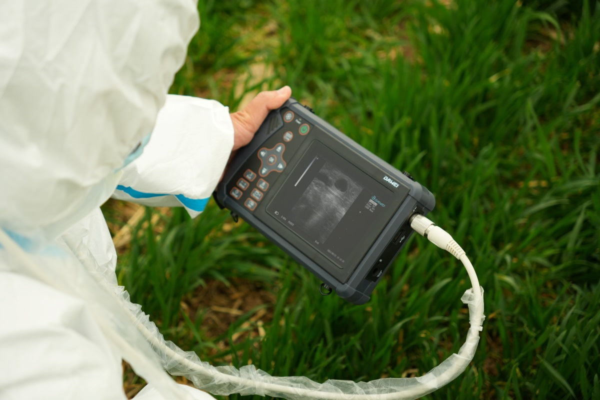 ProVetScan Ultrasound in use