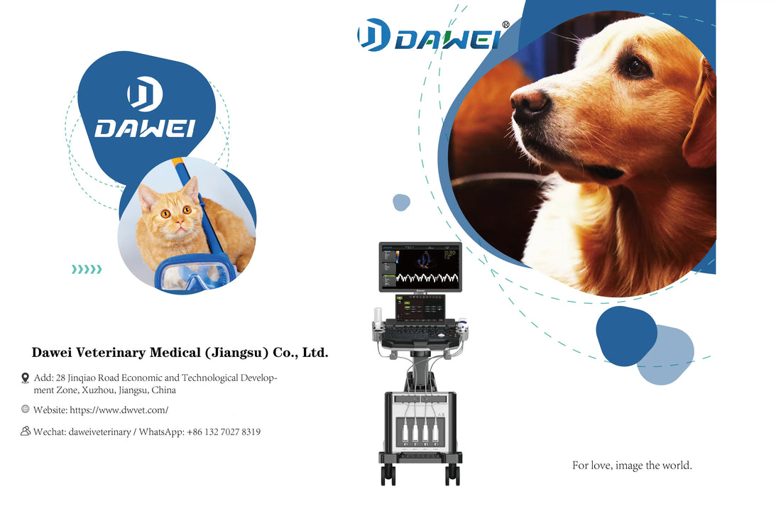 Animal Ultrasound Machine Basics