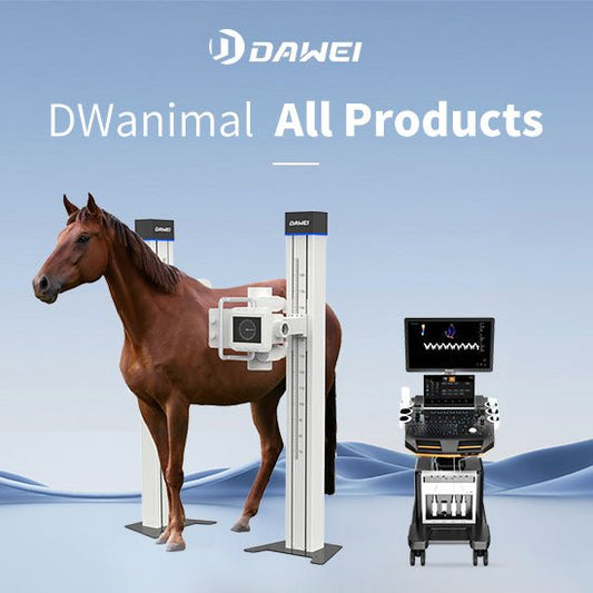 Equine Reproductive Ultrasound - DWanimal