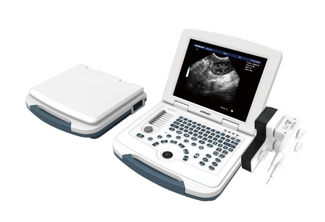 Common Uses of the MU10 Veterinary Sonography Machine