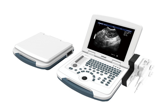 Common Uses of the MU10 Veterinary Sonography Machine