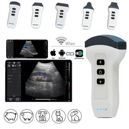 Wireless Veterinary Color Doppler Ultrasound