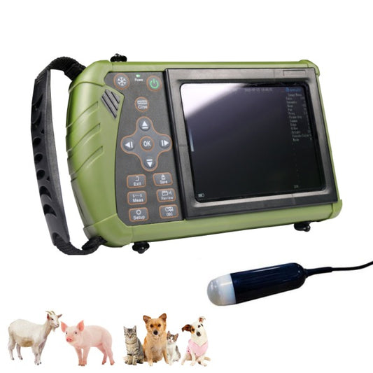 Portable Ultrasound For Medium Animals| S0