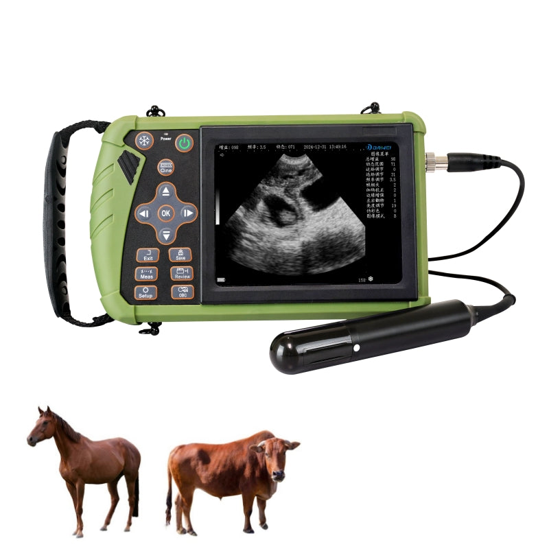 Affordable Rectal Ultrasound Scanner for Cow, Equine – Dawei Vet Med