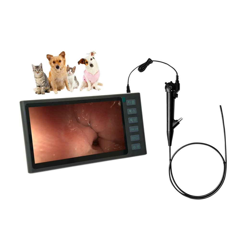 Portable Veterinary Endoscope for Small Animal