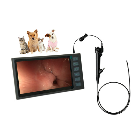 Portable Veterinary Endoscope for Small Animal