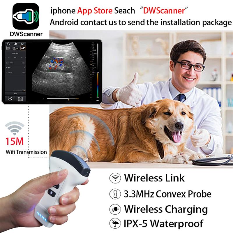 Wireless Veterinary Color Doppler Ultrasound