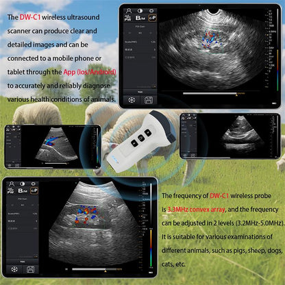 Wireless Veterinary Color Doppler Ultrasound