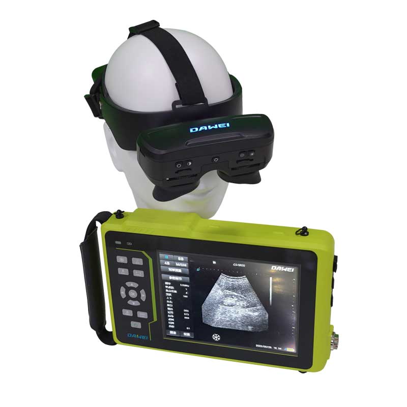 Handheld veterinary ultrasound machine and video glasses