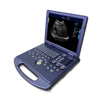 Laptop veterinary ultrasound for pets