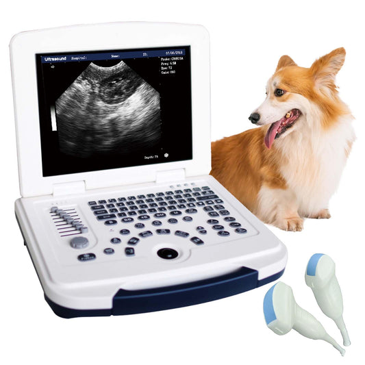 Laptop Ultrasound MU10 For Pet Dog, Cat, Rabbit