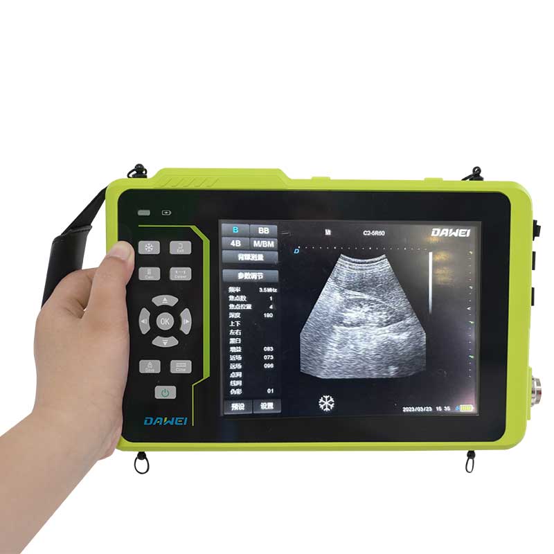 Handheld high-definition veterinary ultrasound machine display