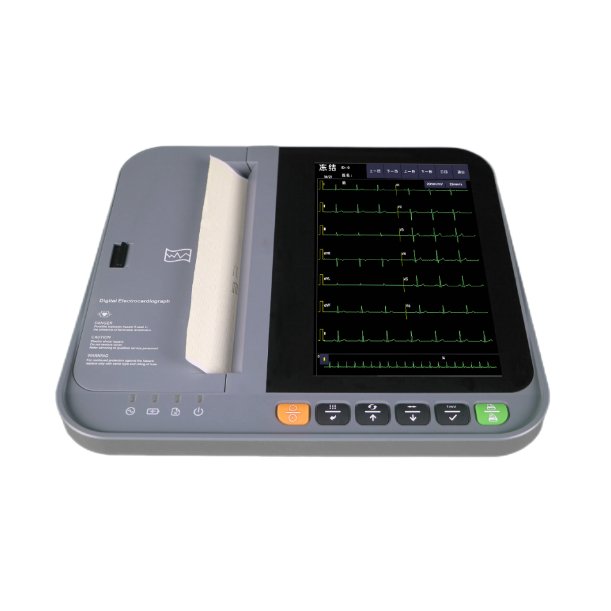 Veterinary Ecg Ruler DWanimal DE-12 Veterinary ECG Machine – Dawei Vet Med