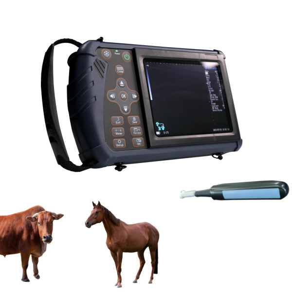 Portable Ultrasound For Various Animals |S1