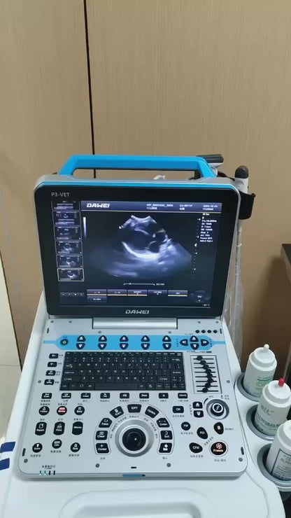 Laptop Veterinary Doppler Ultrasound P3