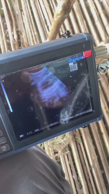 Best Goat Ultrasound Machine S1 with Convex probe