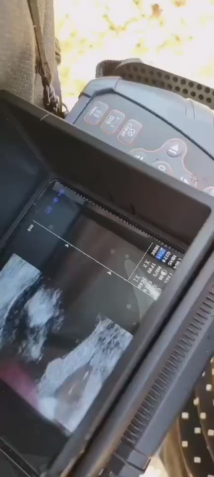 Load video: Ultrasound machine for cattle