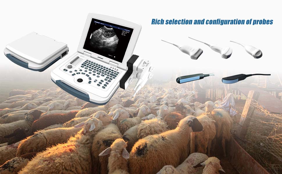 MU10 Accessories