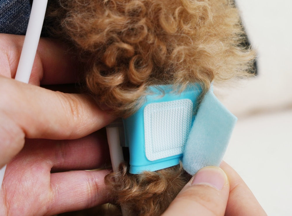 Adjustable velcro cuff for pet blood pressure monitor