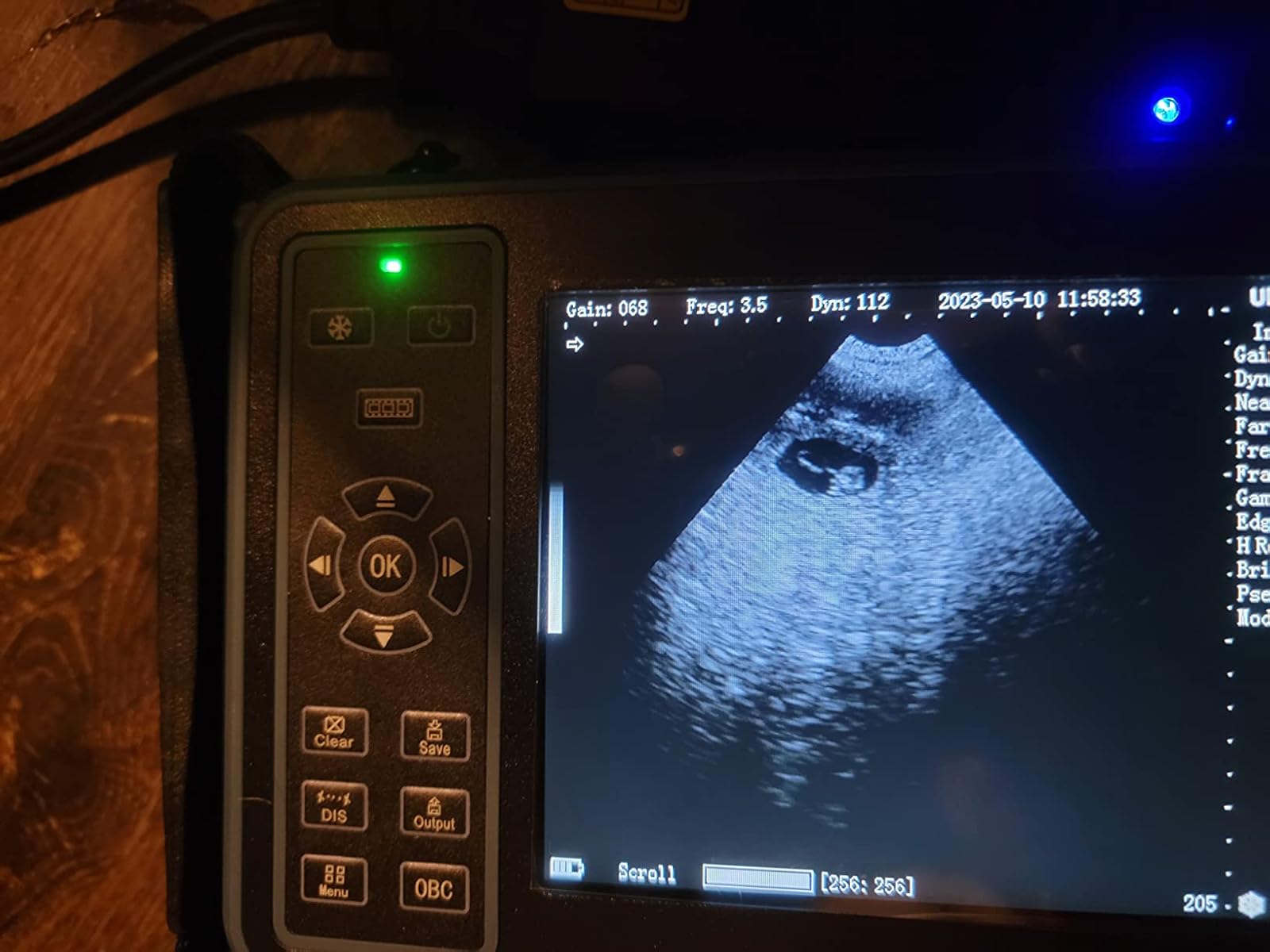 Woman scanning Golden Retriever at home