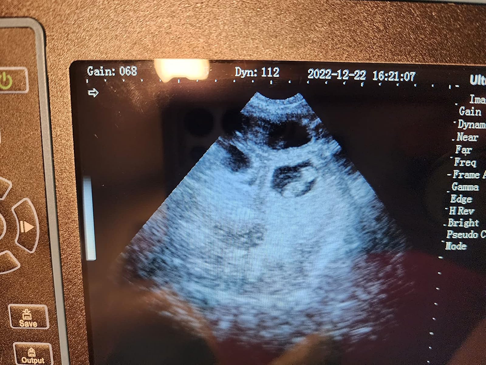 Farmer scanning pregnant goat in barn