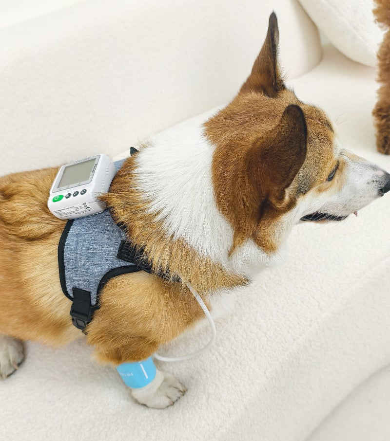 Mantou using cuff size 4